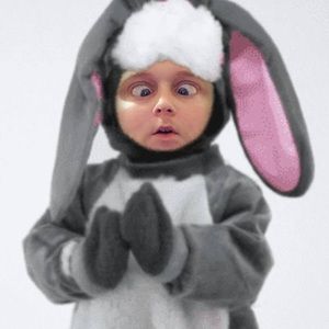 Meet your Posher, Janet